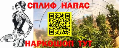 каннабис Славгород