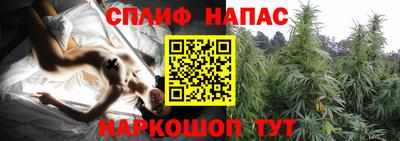 дмт Славянск-на-Кубани