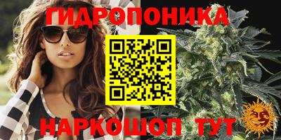 каннабис Славгород