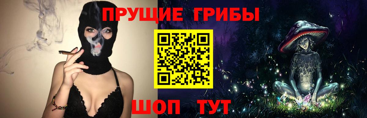 Новоалтайск  Галлюциногенные грибы MAGIC MUSHROOMS  Вход с VPN 